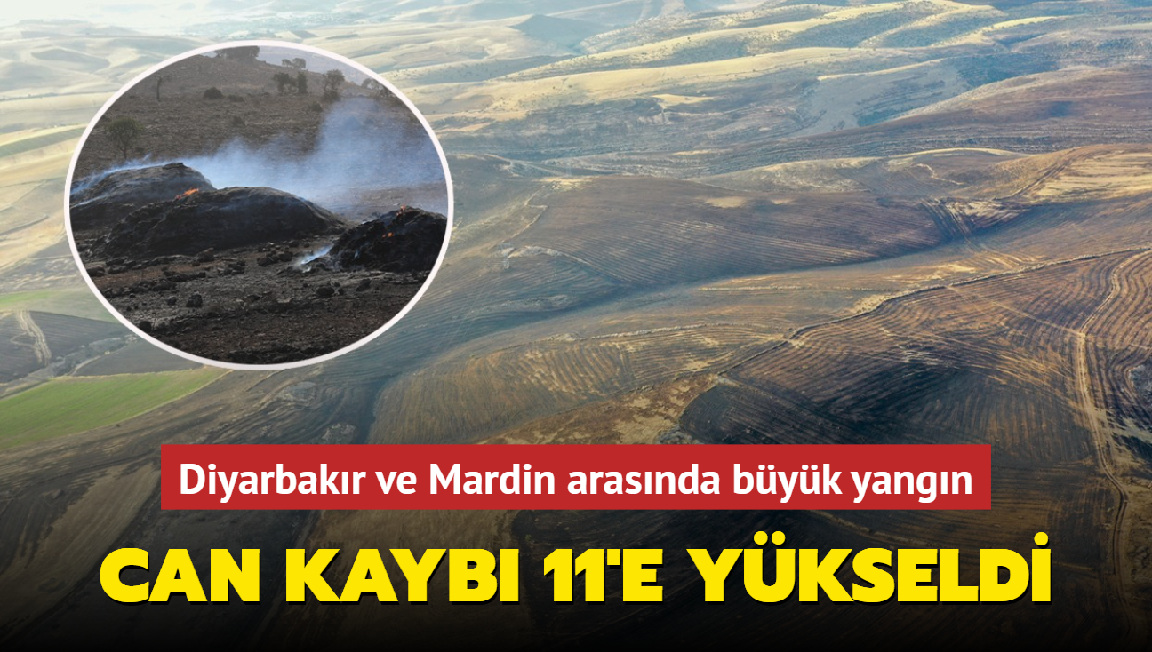 Diyarbakr ve Mardin arasnda byk yangn: Can kayb 11'e ykseldi