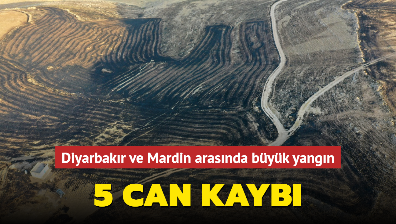 Diyarbakr ve Mardin arasnda byk yangn: 5 can kayb