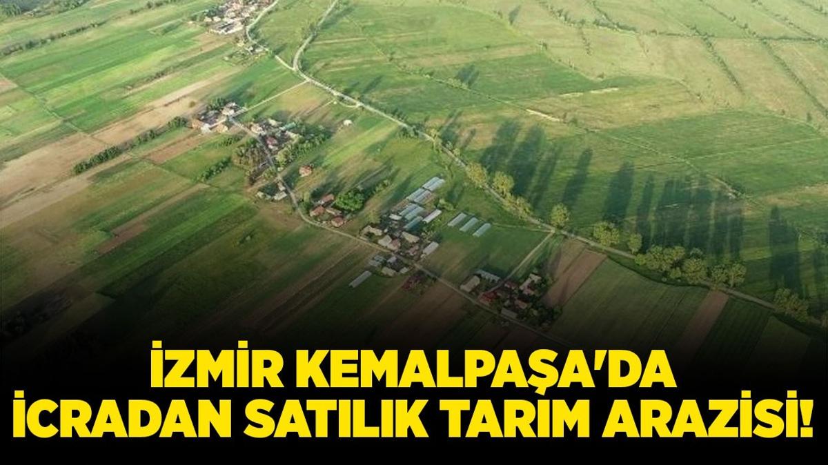 zmir Kemalpaa'da icradan satlk tarm arazisi!