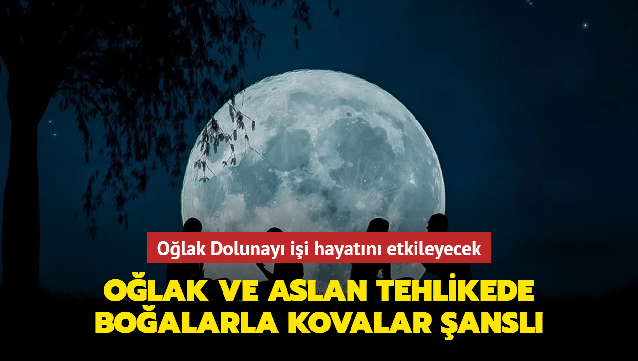 Gnlk bur yorumlarna Olak ayar! Olak ve Aslan tehlikede, Kovalar ansl