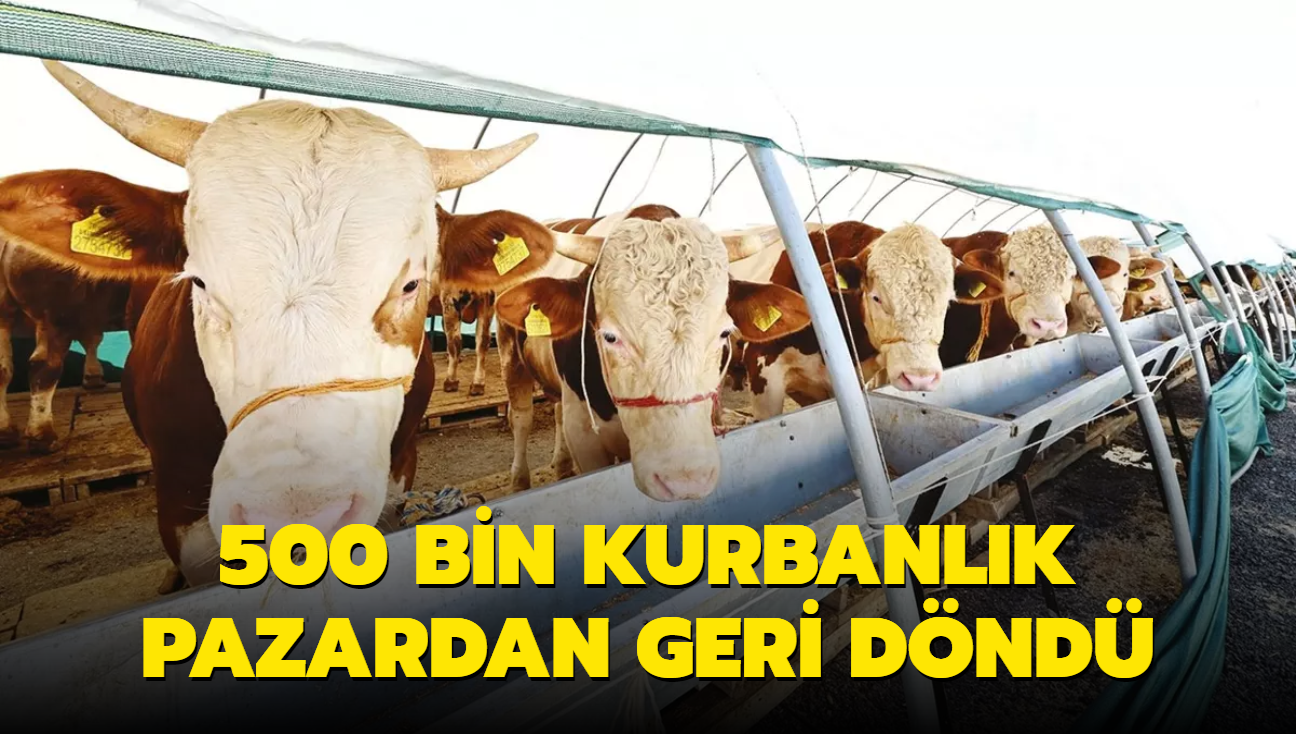 500 bin kurbanlk pazardan geri dnd