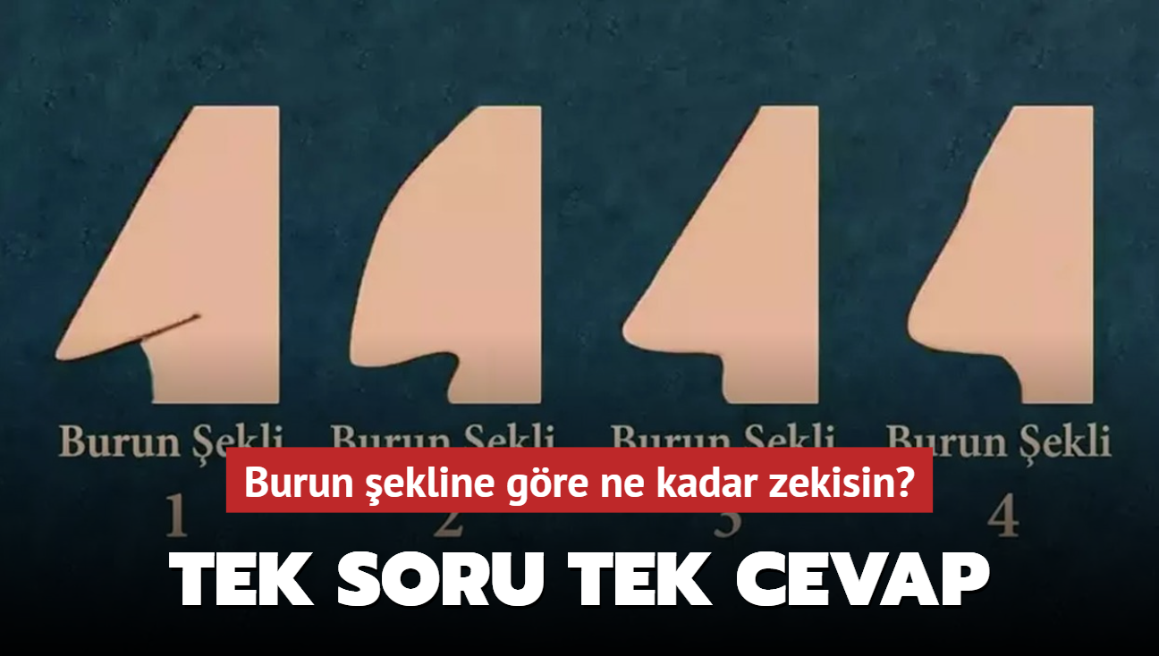 Kiilik testi: Burun ekline gre ne kadar zekisin" Tek soru tek cevap...