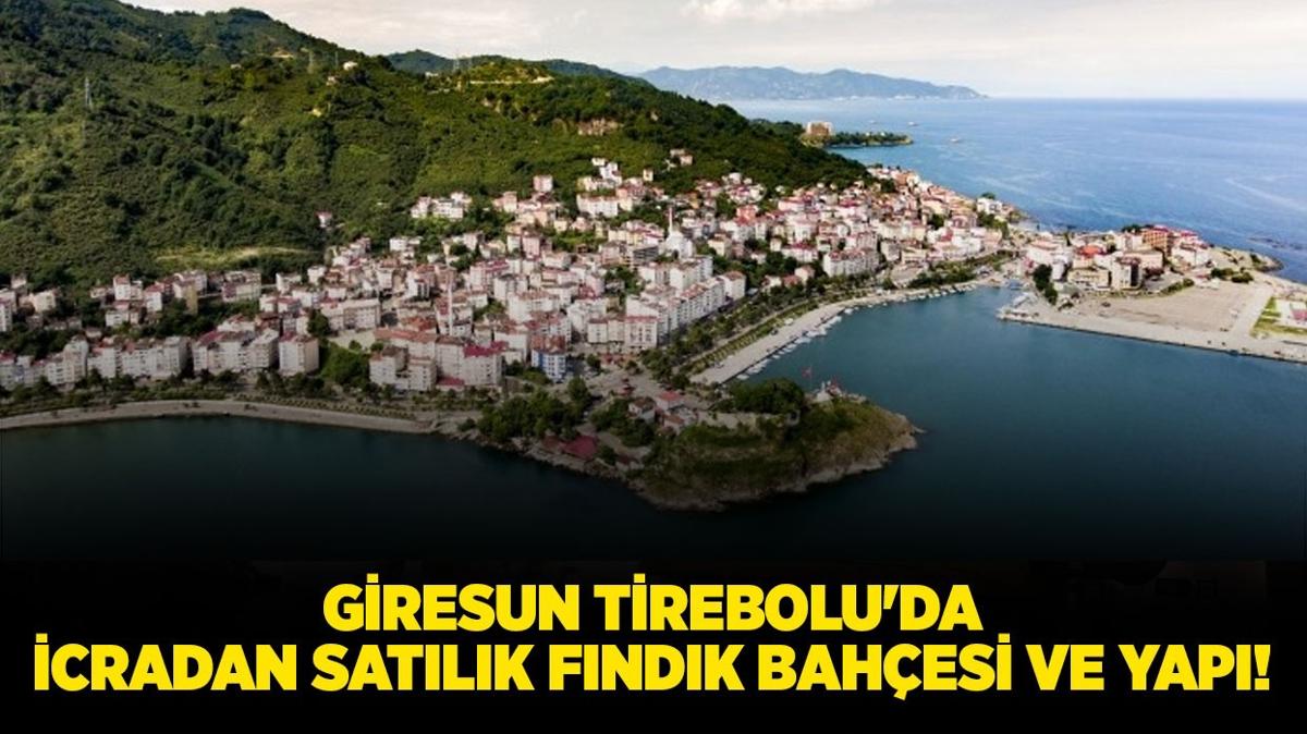 Giresun Tirebolu'da icradan satlk fndk bahesi ve 2 adet yap!