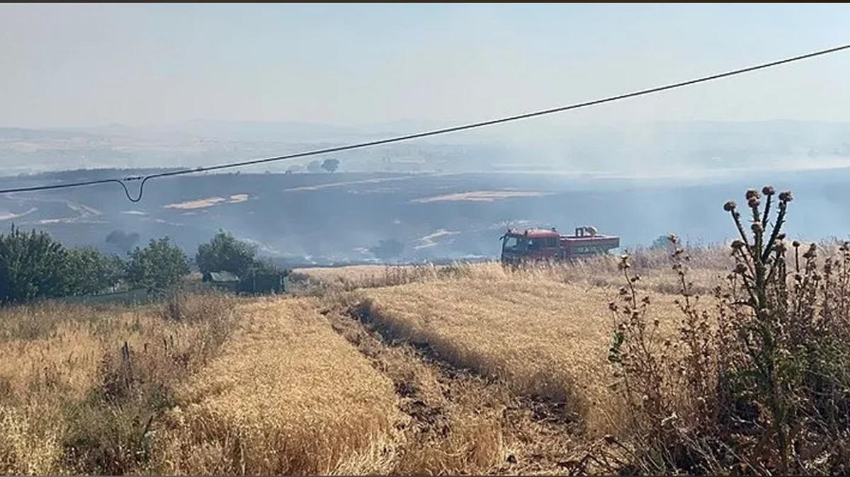 Balkesir'de ormanlk alandaki yangn kontrol altna alnd