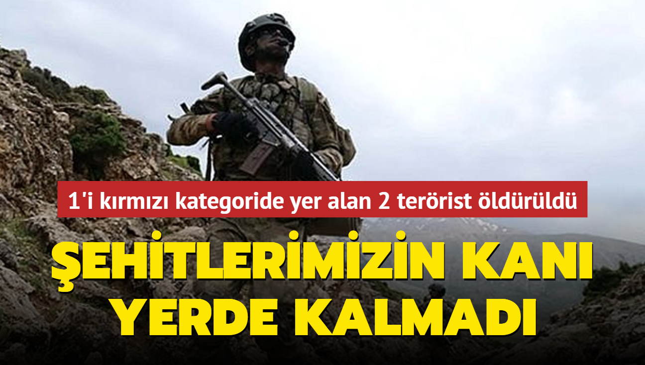 BOZDOAN-45' operasyonuyla 1'i krmz kategoride yer alan 2 terrist etkisiz hale getirildi