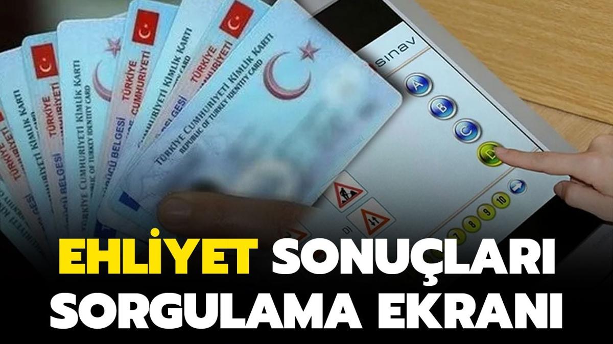 2024 ehliyet snav sonular akland m" MEB E-DEVLET E-SINAV sonu sorgulama ekran 