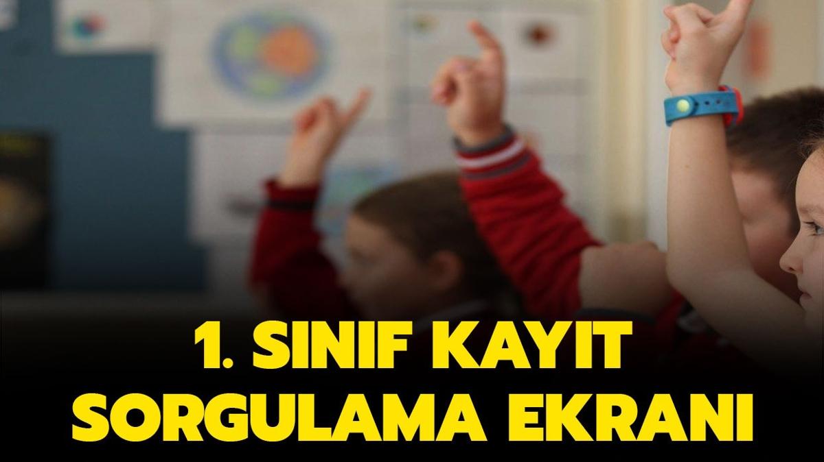 1. snf kayt sorgulama ekran (e-Devlet) | ocuum hangi okula gidecek"