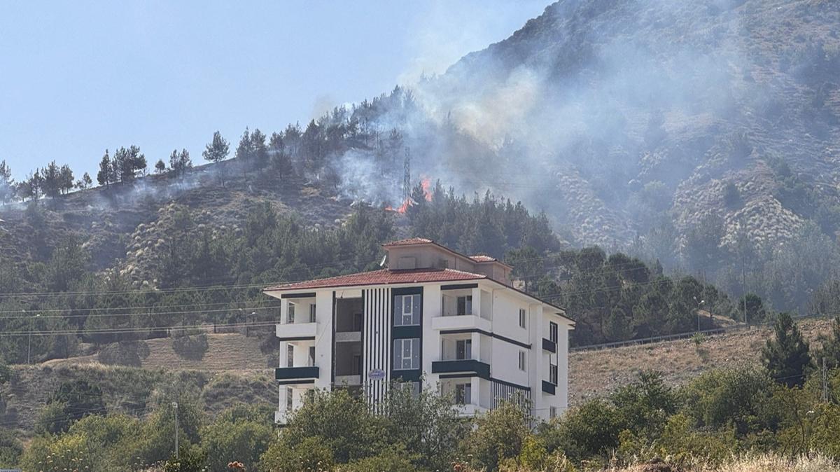 Amasya'da orman yangn