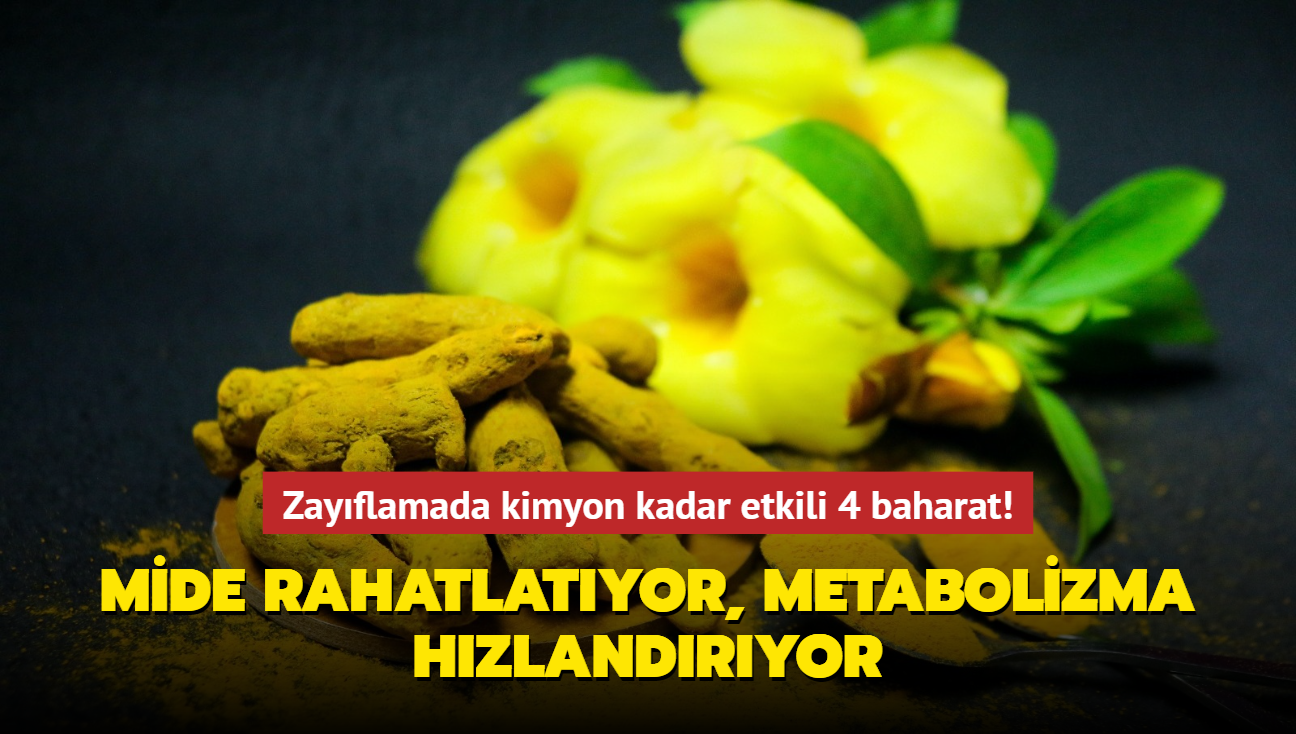 Zayflamada kimyon kadar etkili 4 baharat! Mide rahatlatyor, metabolizma hzlandryor