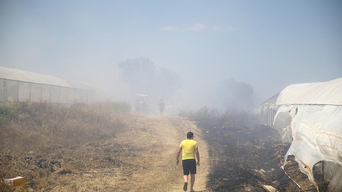 Antalya'da yerleim yerleri yaknnda yangn: Sera ve meyve baheleri zarar grd