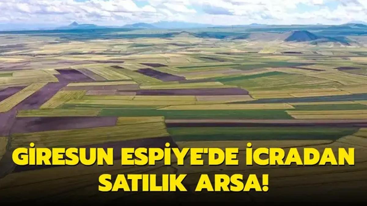 Giresun Espiye'de icradan satlk arsa!