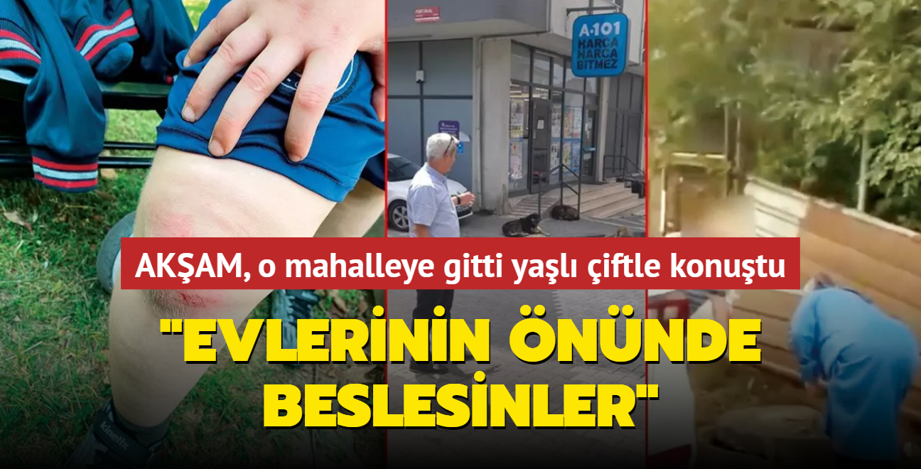 Akam, o mahalleye gitti, yal iftle konutu: Evlerinin nnde beslesinler