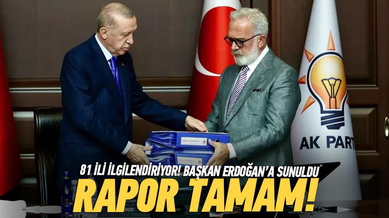 Bakan Erdoan'a rapor sunuldu! Sokak kpeklerine ilikin dzenleme TBMM'ye geliyor