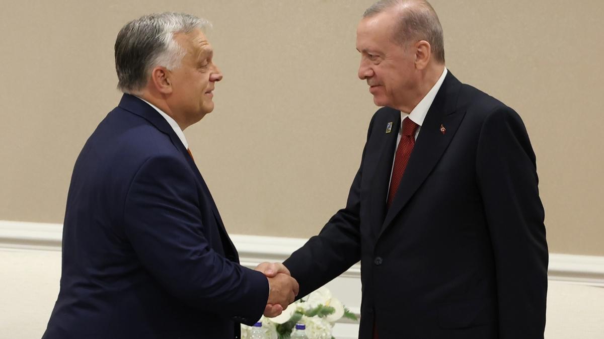 Bakan Erdoan, Macaristan Babakan Orban' kabul etti