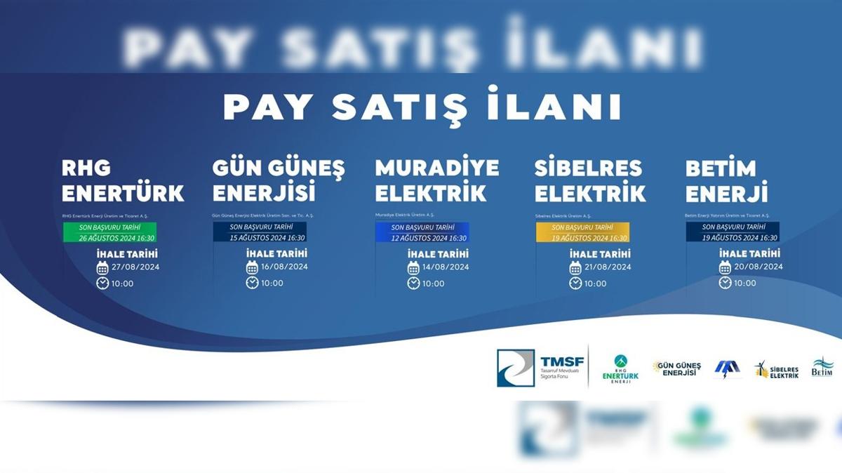 Yenilenebilir Enerjide Dev Sat; TMSF Enerji irketlerini haleye kard