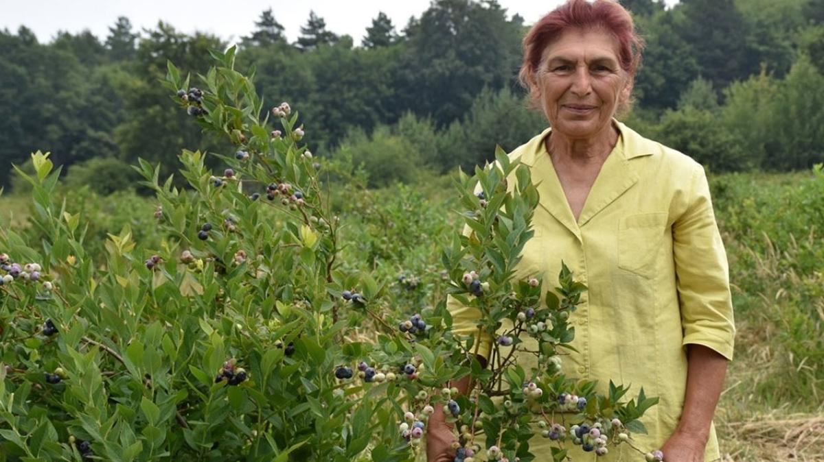 Emekli mali mavir yaban mersini retiyor