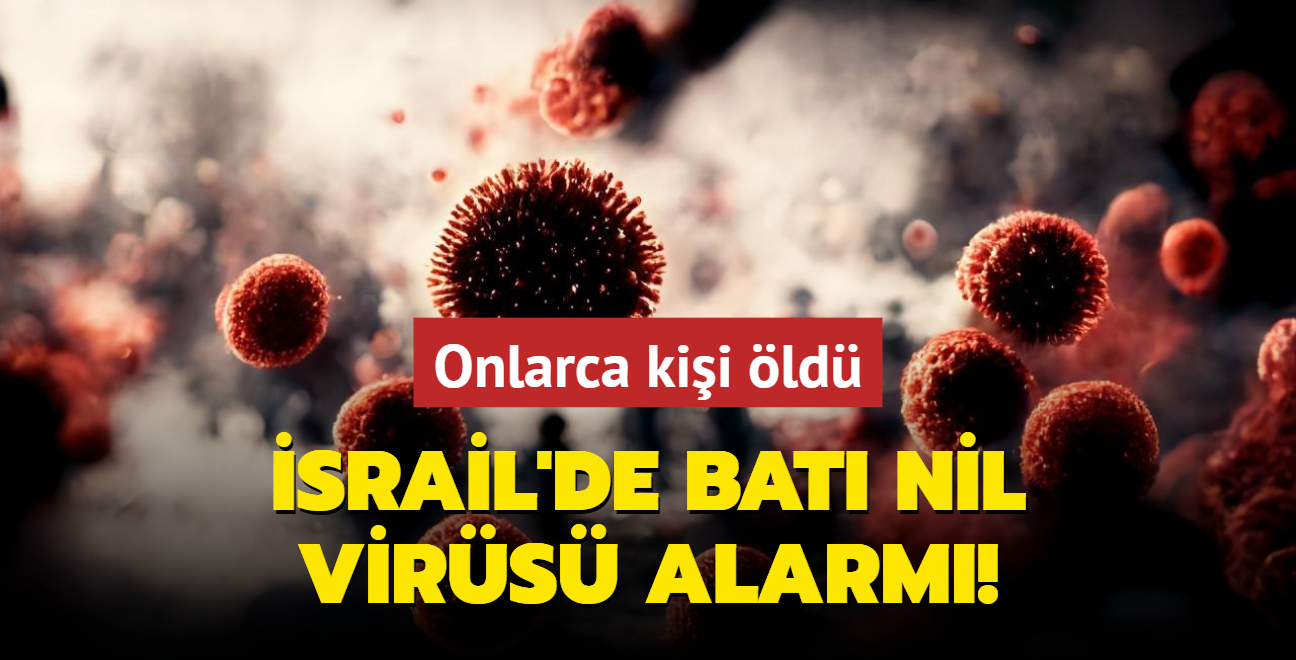 srail'de Bat Nil virs alarm! 31 kii ld