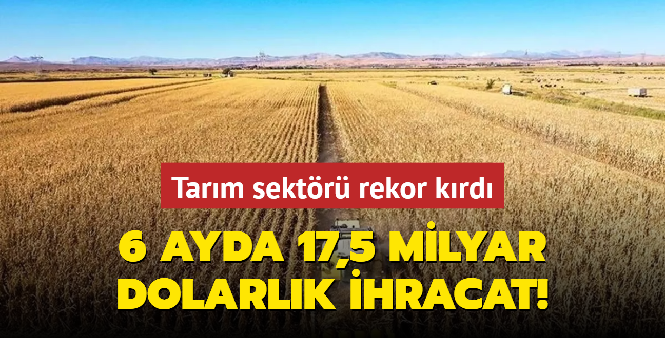 Tarm sektr rekor krd: 6 ayda 17,5 milyar dolarlk ihracat! 