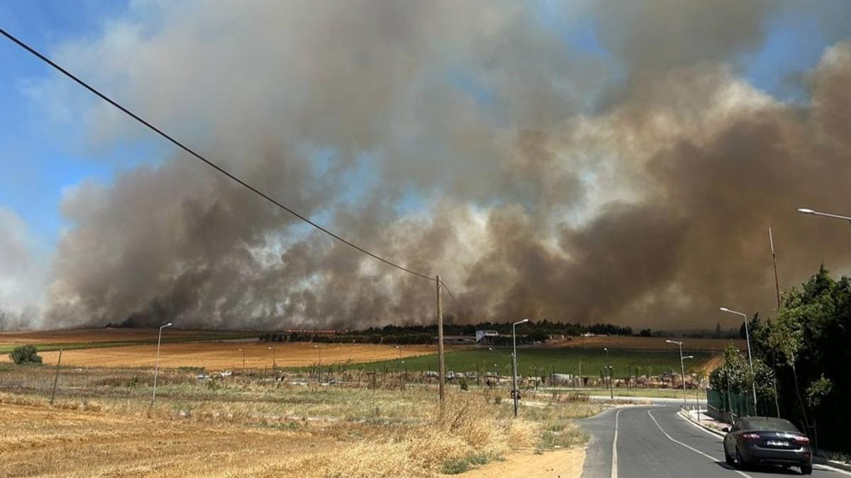 Silivri'de otluk alanda yangn