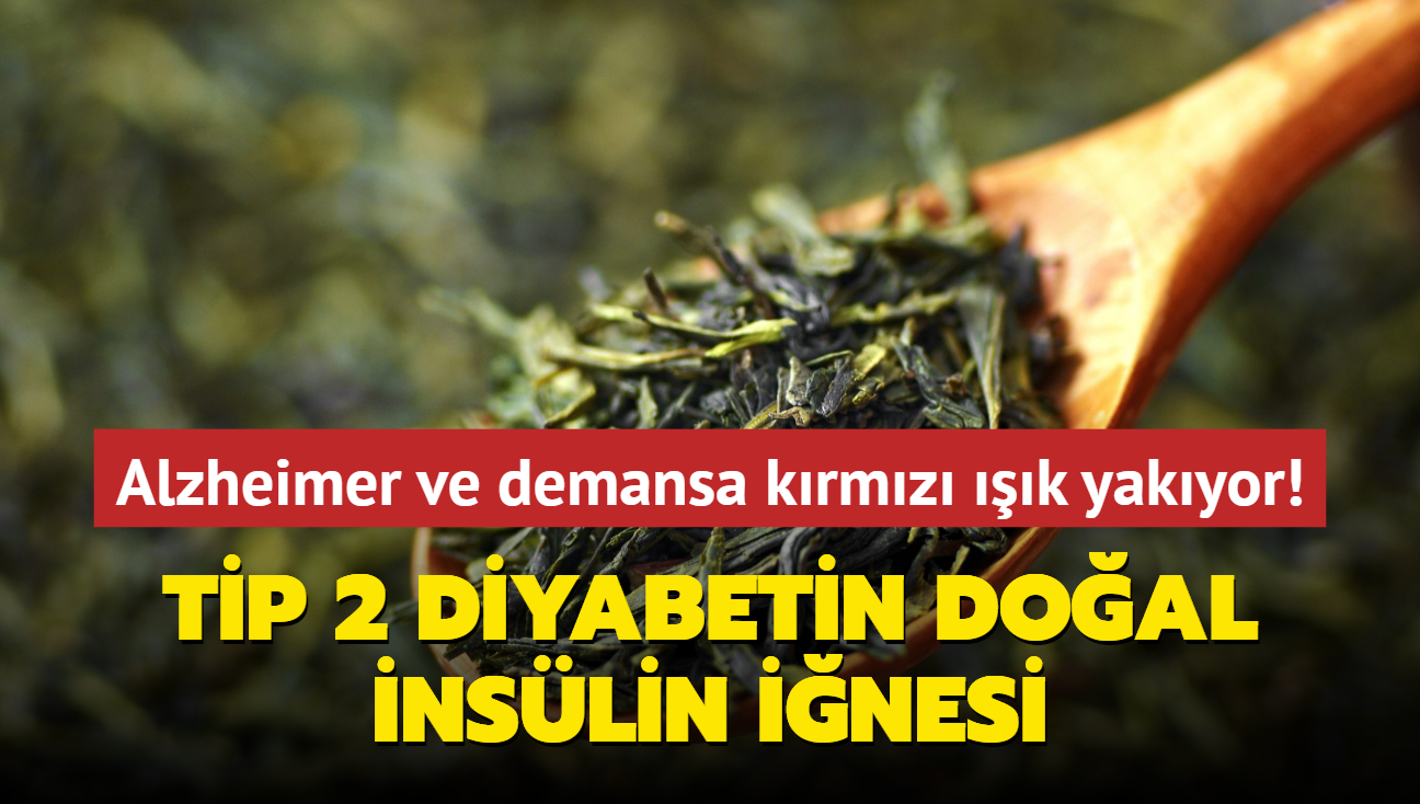 Alzheimer ve demansa krmz k yakyor: Bu iecek Tip 2 diyabetin doal inslin inesi