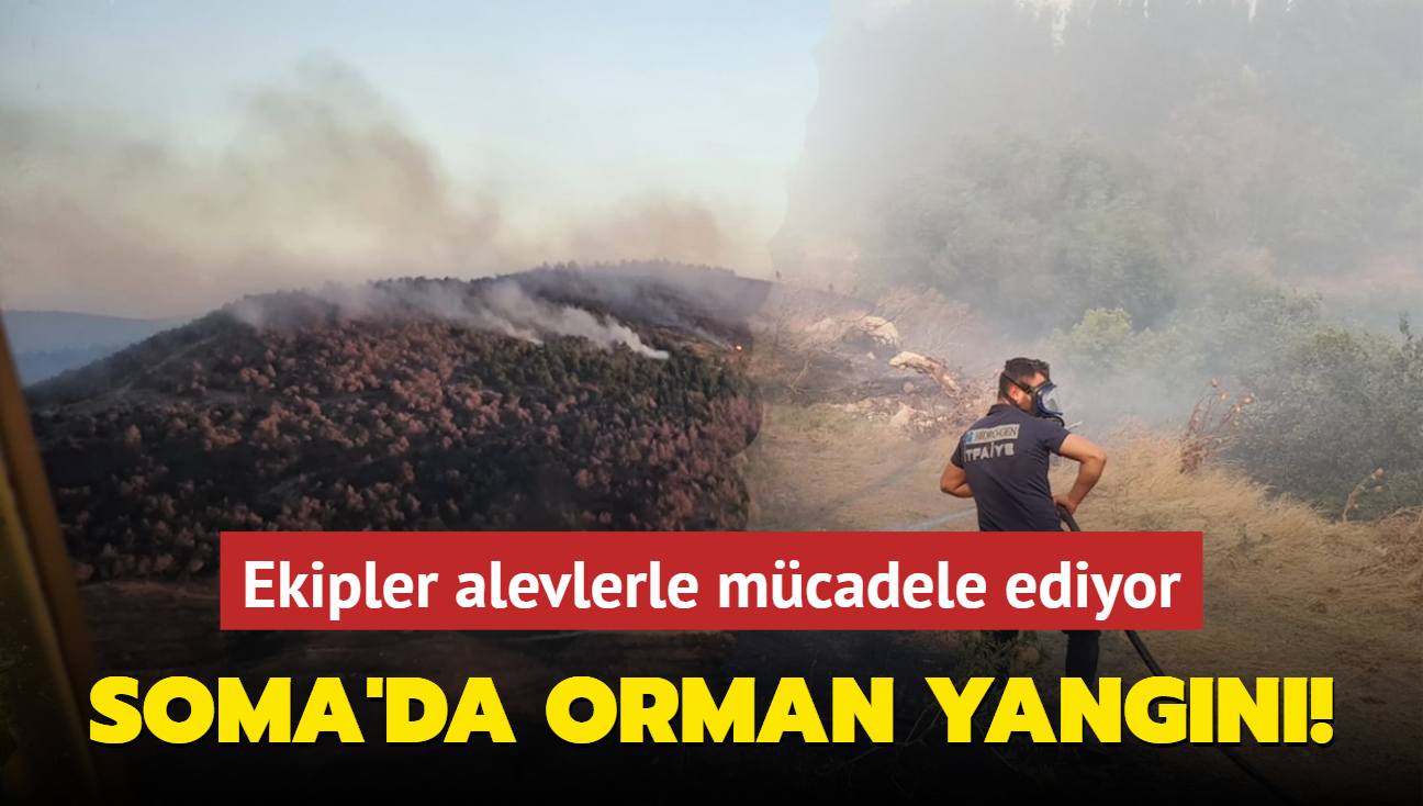 Soma'da orman yangn: Ekipler alevlerle mcadele ediyor