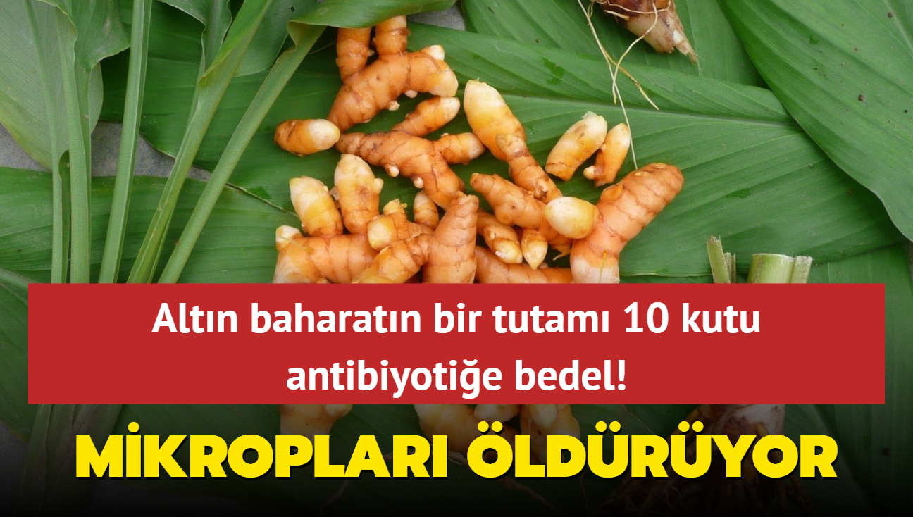 Altn baharatn bir tutam 10 kutu antibiyotie bedel! Kandaki mikrobu temizliyor