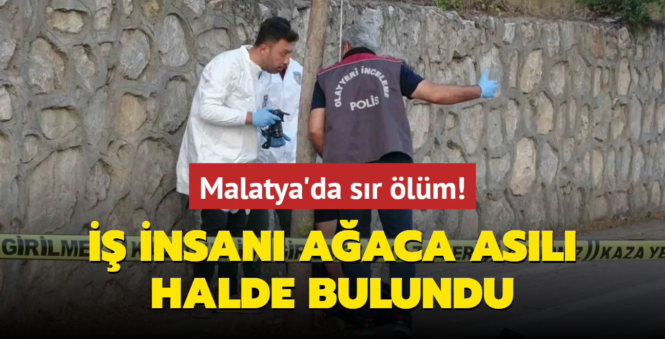 Malatya'da sr lm!  insan aaca asl halde bulundu