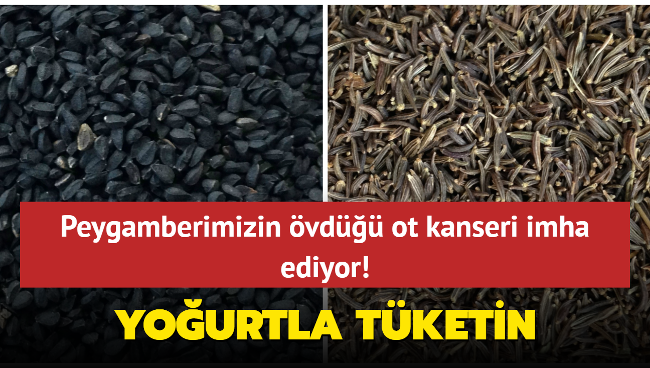 Peygamberimizin vd ot kanseri imha ediyor! Yourtla tketin, barsaklar zyor