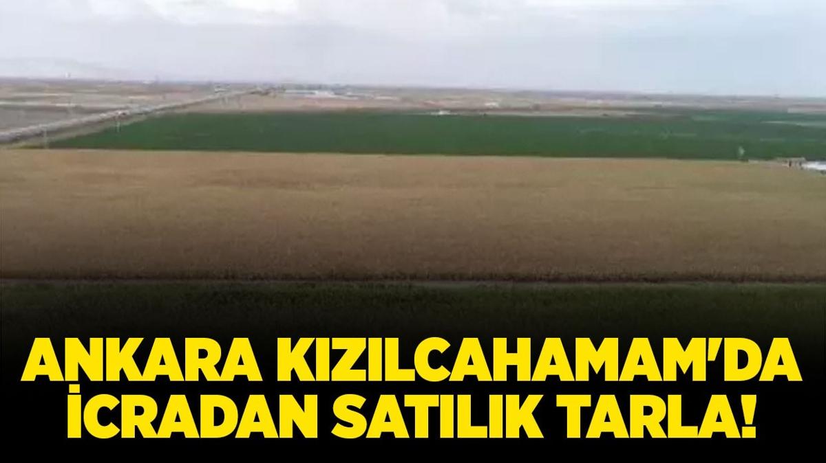 Ankara Kzlcahamam'da icradan satlk tarla!