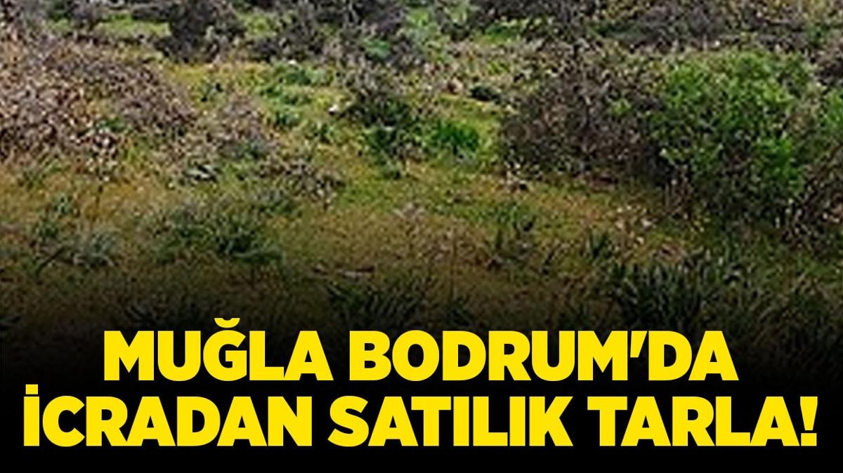 Mula Bodrum'da icradan satlk tarla!