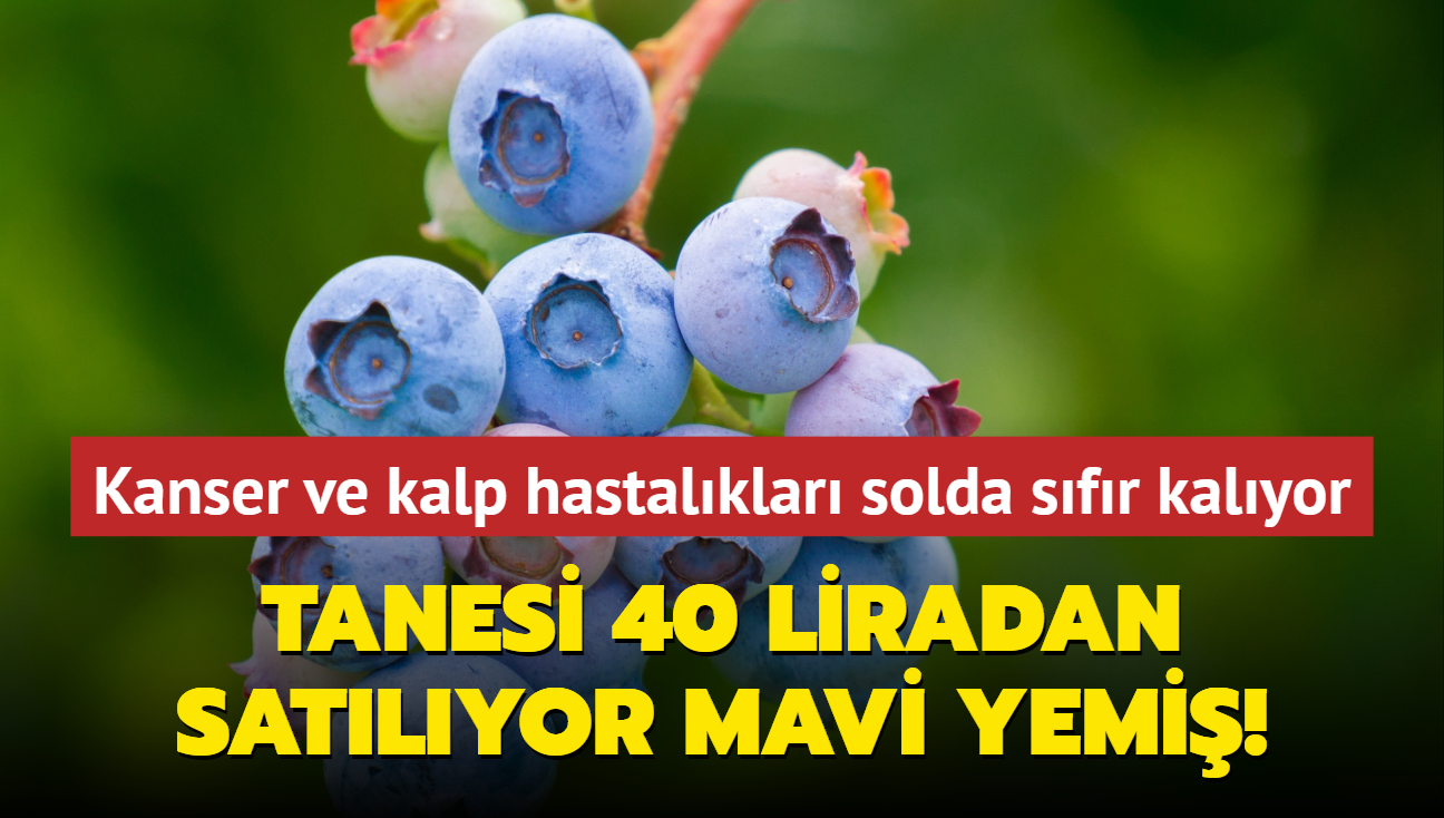 Tanesi 40 liradan satlyor mavi yemi! Kanser ve kalp hastalklar solda sfr kalyor