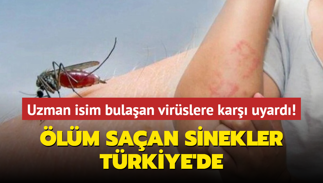 Uzman isim bulaan virslere kar uyard! lm saan sinekler Trkiye'de