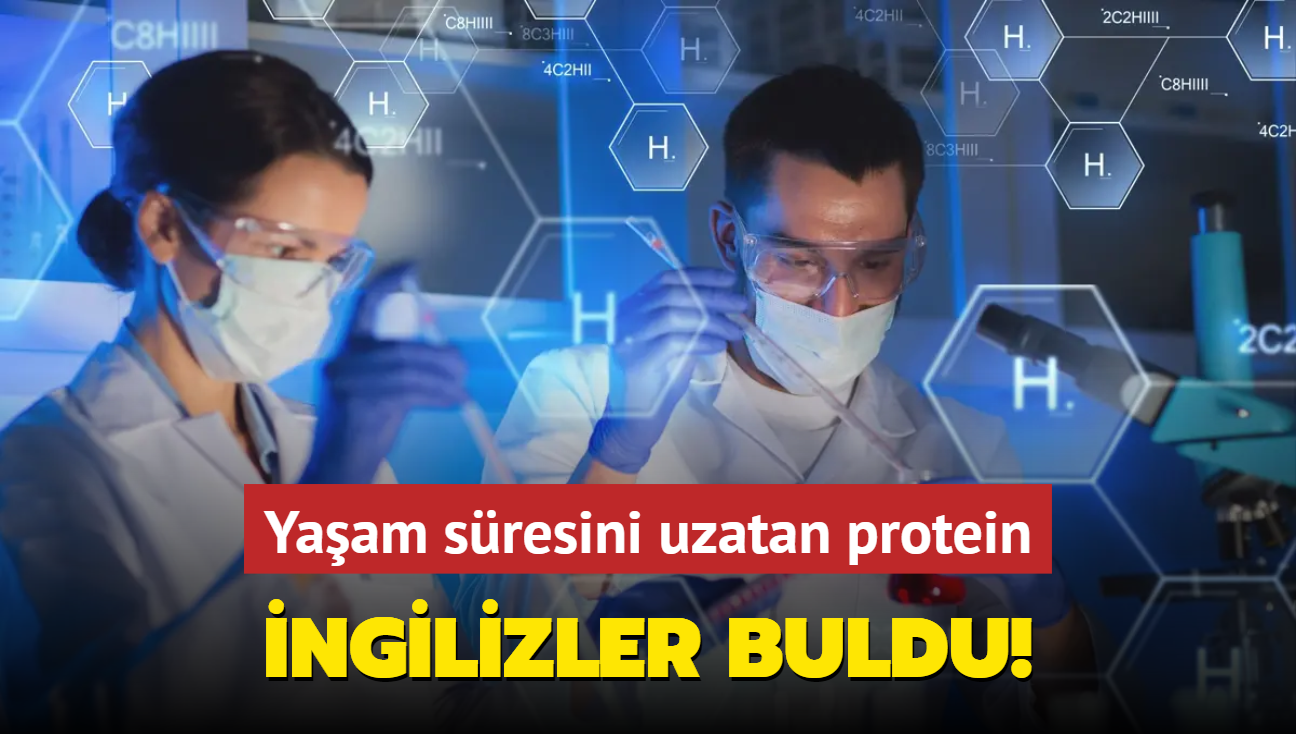 Uzun yaamn ifrelerini zen ila! Farelerde denendi, kanseri azaltyor