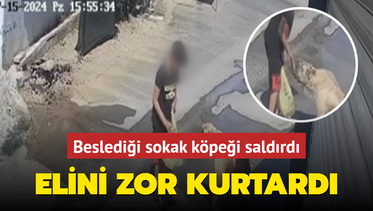 Besledii sokak kpei saldrd! ocuk ac iinde kat