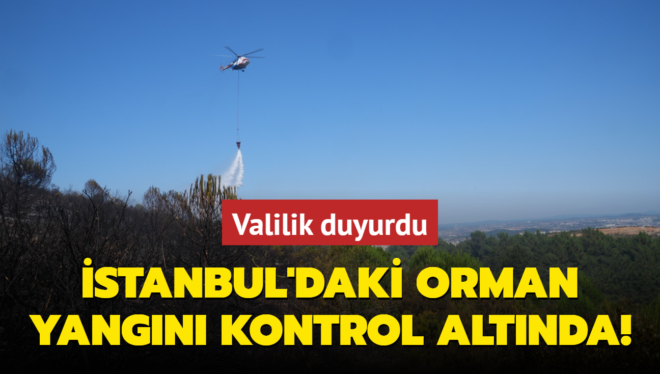 stanbul'daki orman yangn kontrol altnda! Valilik duyurdu