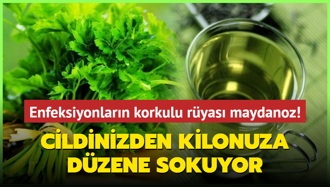 Enfeksiyonlarn korkulu ryas maydanoz! Cildinizden kilonuza dzene sokuyor