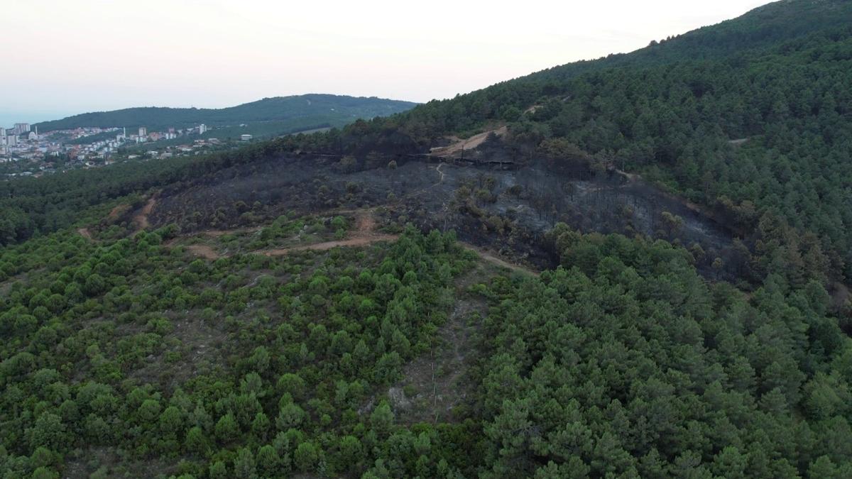 Aydos Ormanlar yangndan sonra dronla grntlendi