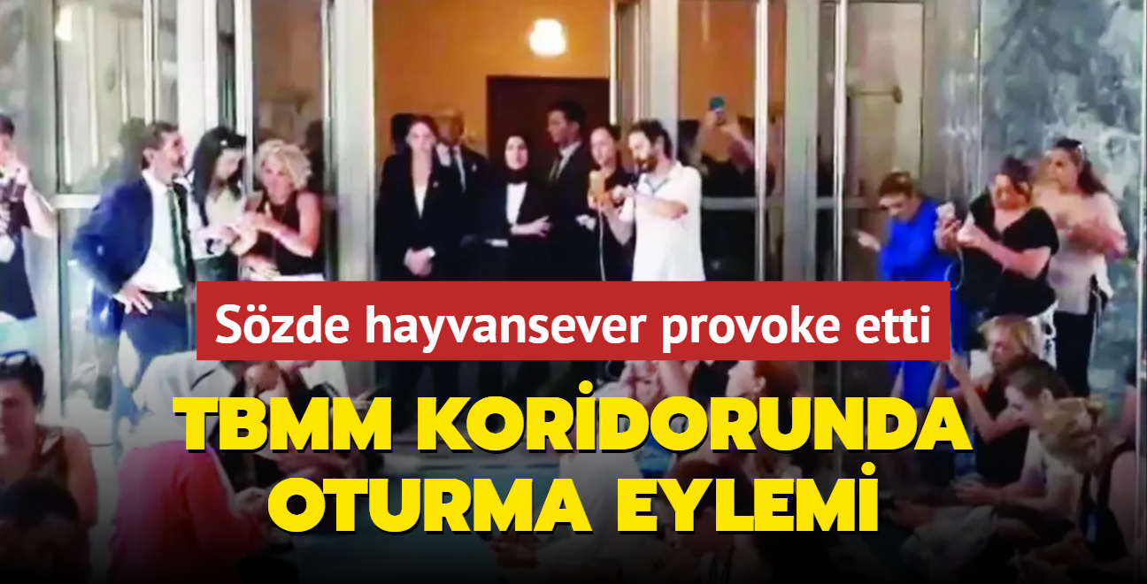 TBMM koridorunda oturma eylemi