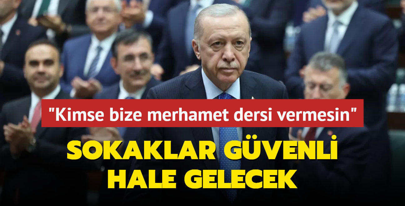 Sahipsiz hayvanlar teklifi! Bakan Erdoan: Sokaklar gvenli hale gelecek