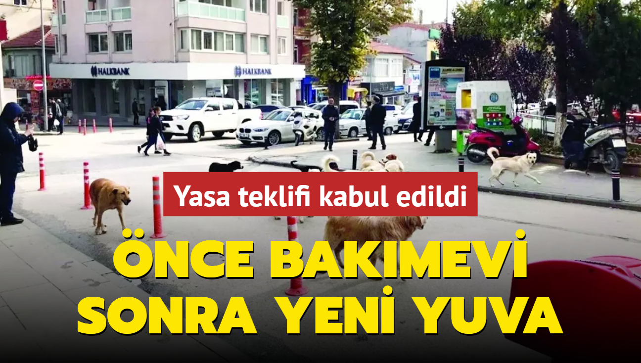 nce bakmevi sonra yeni yuva