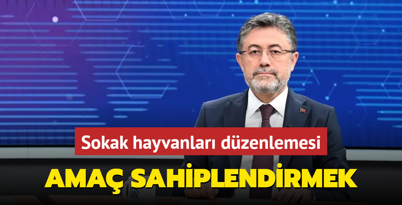 Sokak hayvanlar dzenlemesi... Bakan Yumakl: Ama sahiplendirmek