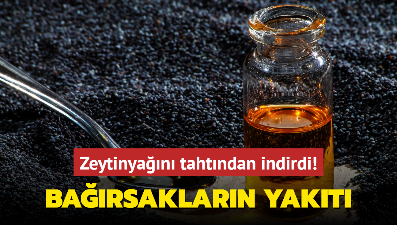 Zeytinyann tahtndan indiren ya! Barsaklarn yakt, midenin ifas