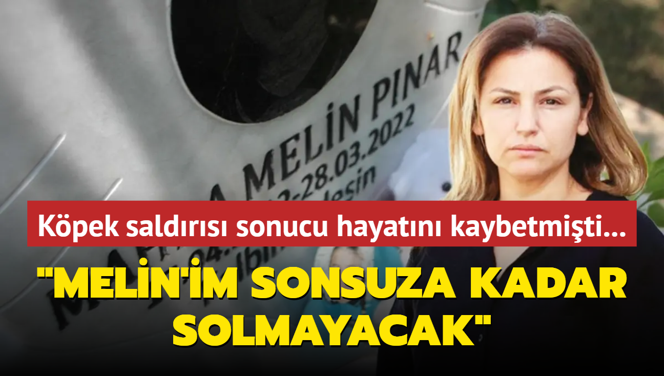 Kpek saldrs sonucu hayatn kaybetmiti... 'Melin'im sonsuza kadar solmayacak'