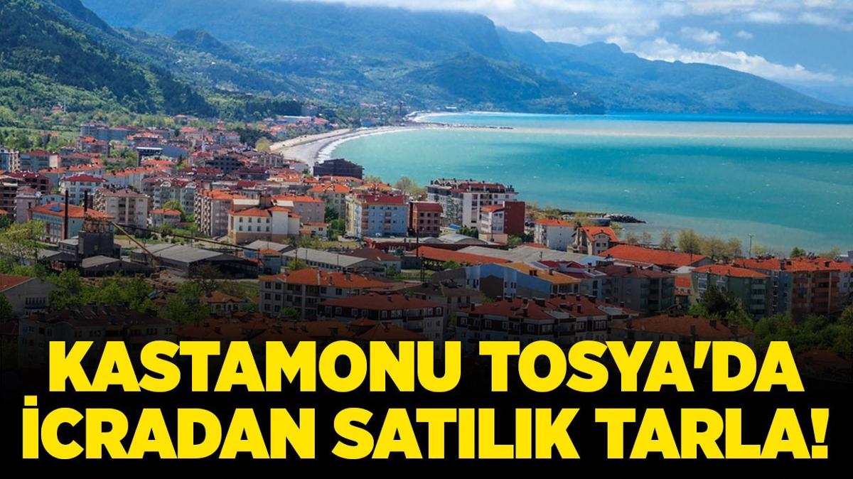 Kastamonu Tosya'da icradan satlk tarla!