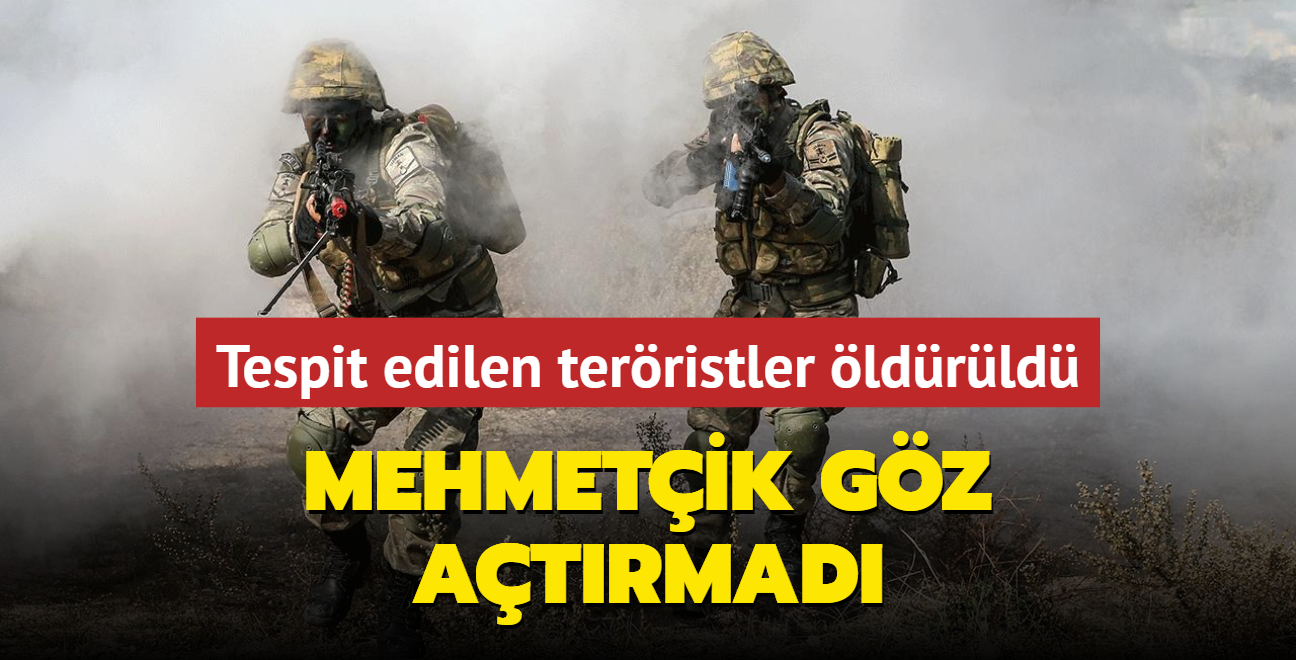 Mehmetik gz atrmad: Tespit edilen terristler ldrld 