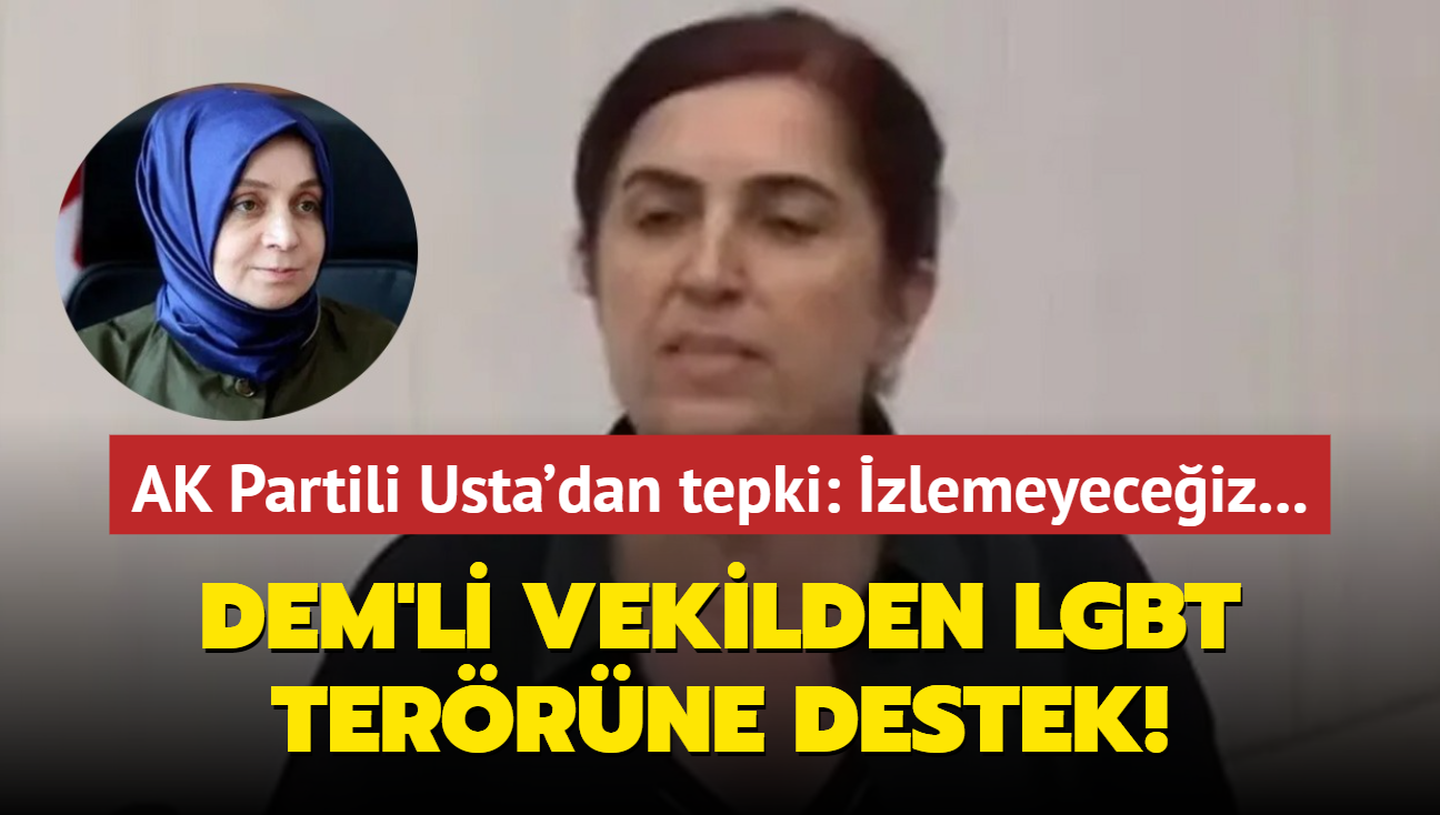 DEM'li vekilden LGBT terrne destek! AK Partili Usta'dan tepki