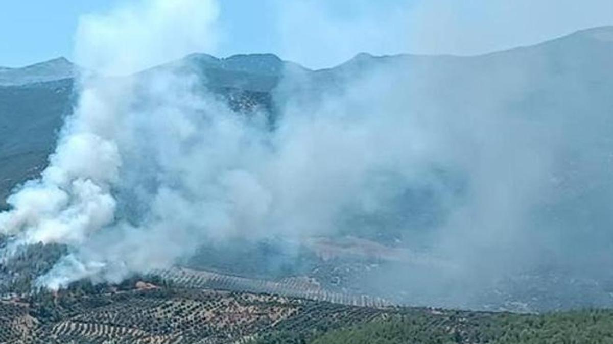 Son Dakika: Hatay'da orman yangn