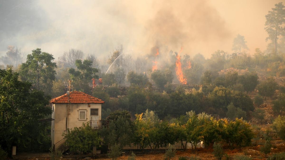 Cierlerimiz yand: Antalya'da 65 hektar alan kle dnd