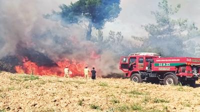 Adana'da 45 hektar kl oldu