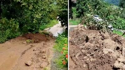 Trabzon'da heyelan! Fndk aac byle srklendi